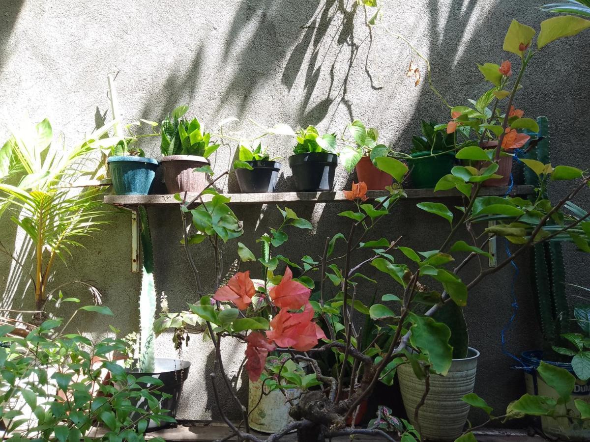 Mangga Homestay Gili Air Bagian luar foto