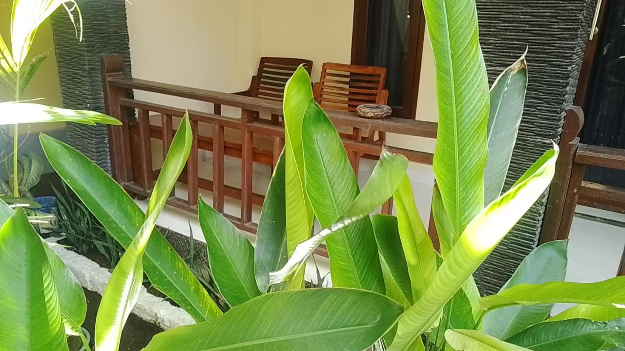 Mangga Homestay Gili Air Bagian luar foto