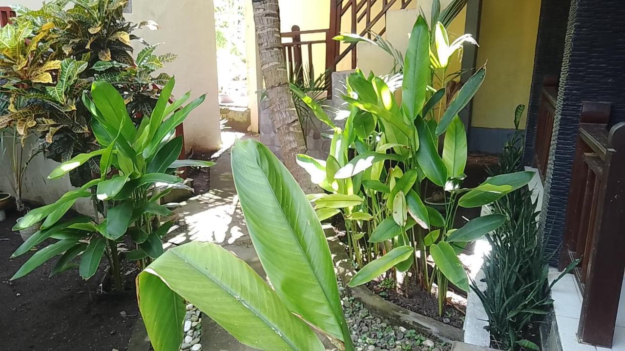 Mangga Homestay Gili Air Bagian luar foto