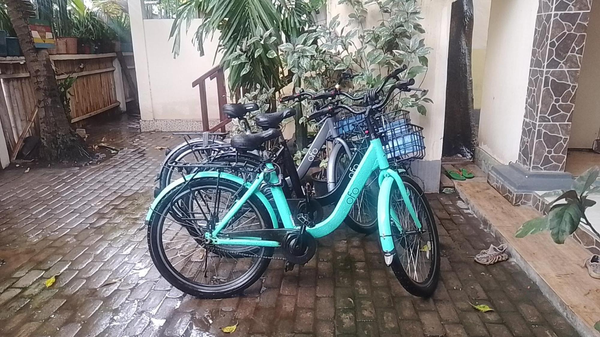 Mangga Homestay Gili Air Bagian luar foto