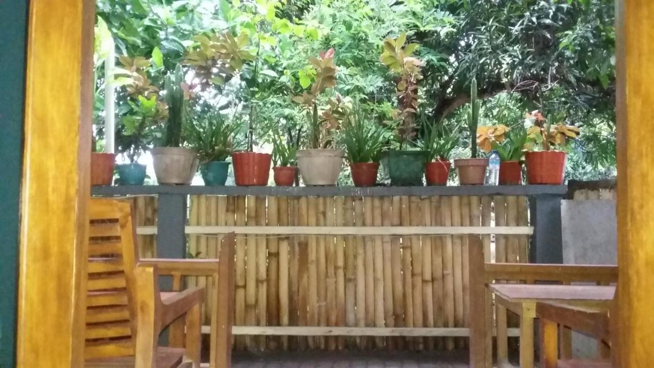 Mangga Homestay Gili Air Bagian luar foto